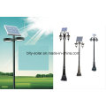 Solar-Rasen-Lampe